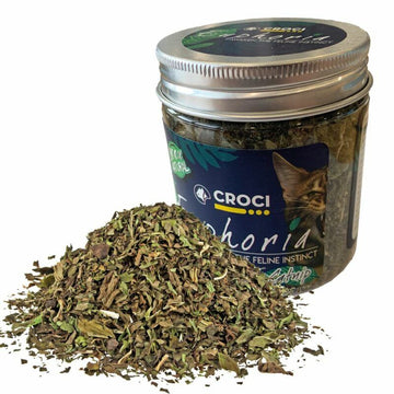 Croci Euphoria Catnip Jar - 25gr - جرة النعناع البري ايفوريا من كروسي - 25 جم - العاب القطط