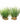 Hugo Foreground Plant 3 Tub 20cm ( per pc. ) - ديكور حوض السمك