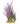 Hugo Mizu Grass Mix Green/Purple 45cm