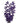 Hugo Purple Rotala Silk 30cm