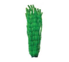 Hugo Xl Large Plant Green 1 95cm - ديكور حوض السمك