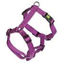 Kerbl Harness Miami Purple 75-100cmx25mm - مجموعة رباط تحكم وصدرية للكلاب